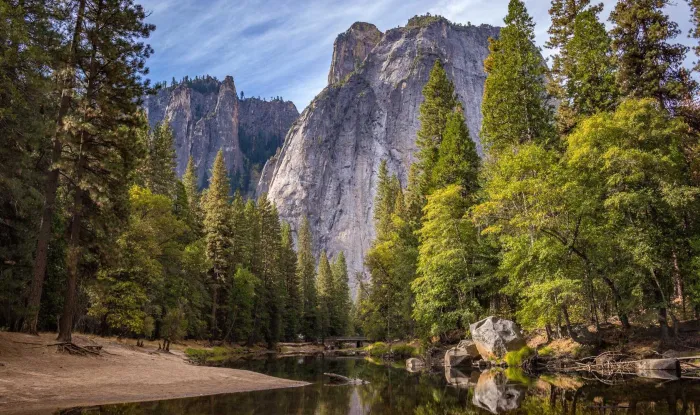 Dignissim blandit cover