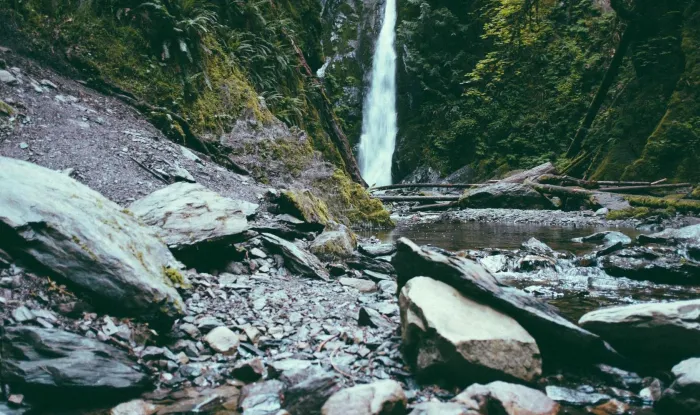 Suspendisse lobortis cover